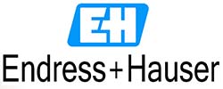 endress250x100